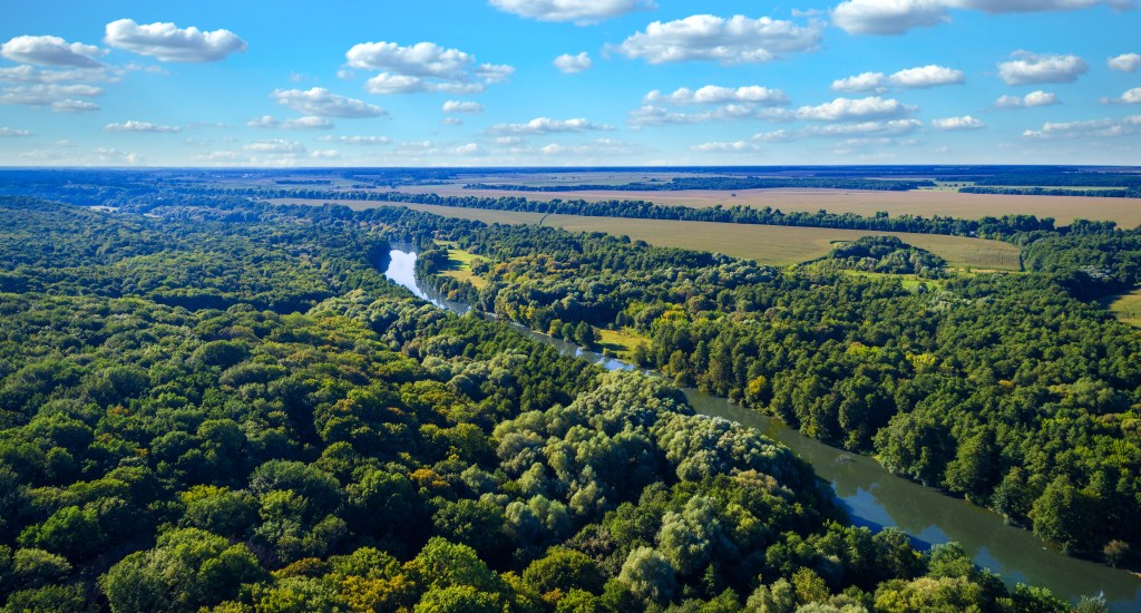 Taxa de desmatamento em unidades de conservação apoiadas pela FAS tem recuo acima da média registrada em todo o&nbsp;bioma