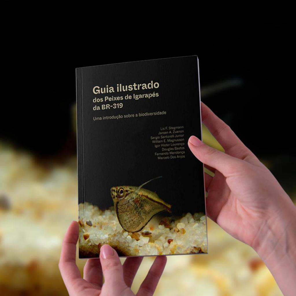 Cartilhas abordam cobras, peixes e sapos curiosos do Sul do Amazonas 