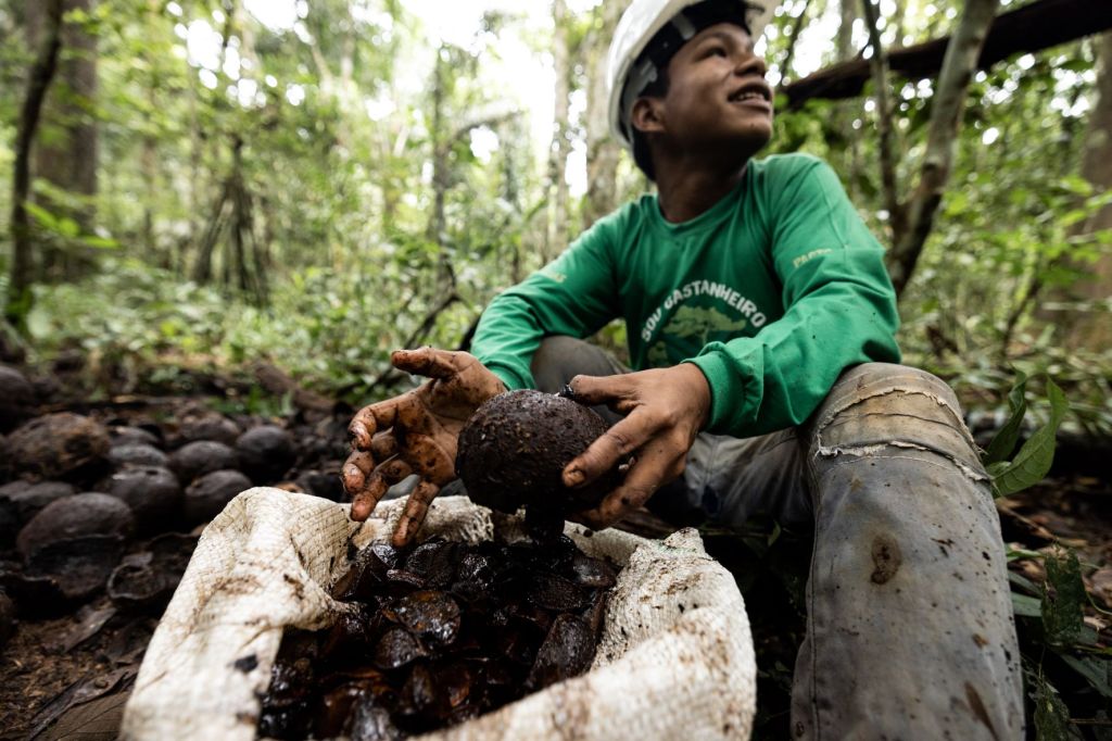 Mais de 30 mil pessoas são beneficiadas com projeto que incentiva cadeias sustentáveis na&nbsp;Amazônia