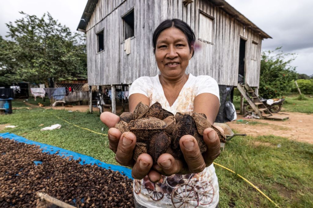 Mulheres se tornam protagonistas do extrativismo na&nbsp;Amazônia