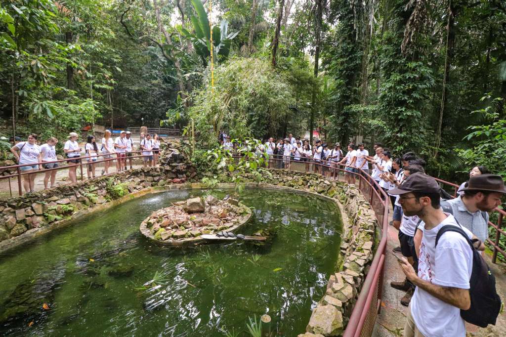 Músicos americanos fazem imersão na Amazônia e promovem ações em prol da conservação do meio&nbsp;ambiente