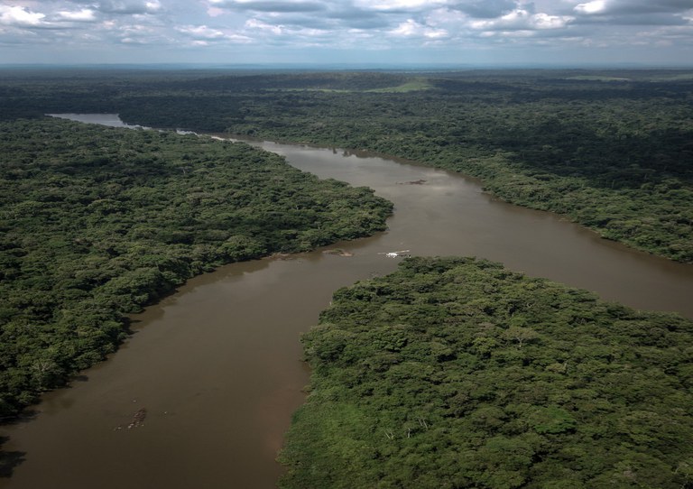 MMA lança novo PPCDAm para consulta&nbsp;pública