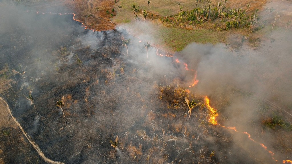 Documentário ‘Amazônia na Linha do Fogo’ é lançado nesta quarta na&nbsp;COP30
