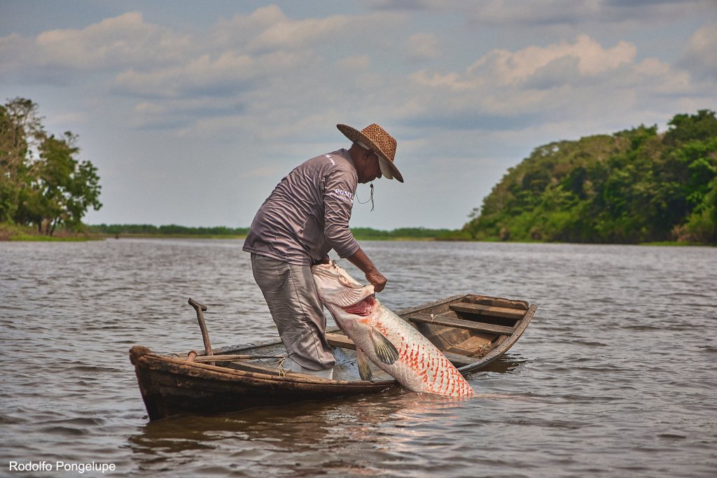 Comunidades da Amazônia recebem flutuante para beneficiar&nbsp;pirarucu